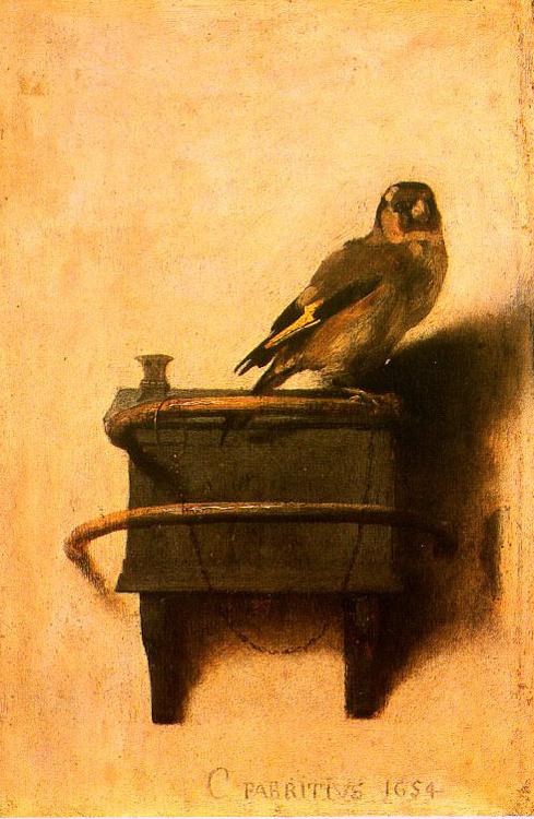 Carel Fabritus The Goldfinch oil painting picture